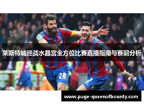莱斯特城迎战水晶宫全方位比赛直播指南与赛前分析