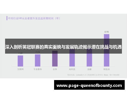 深入剖析英冠联赛的真实面貌与发展轨迹揭示潜在挑战与机遇