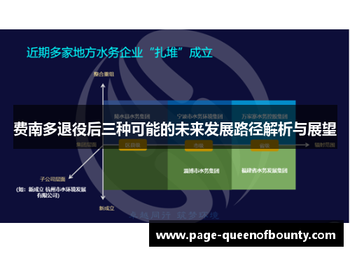 费南多退役后三种可能的未来发展路径解析与展望