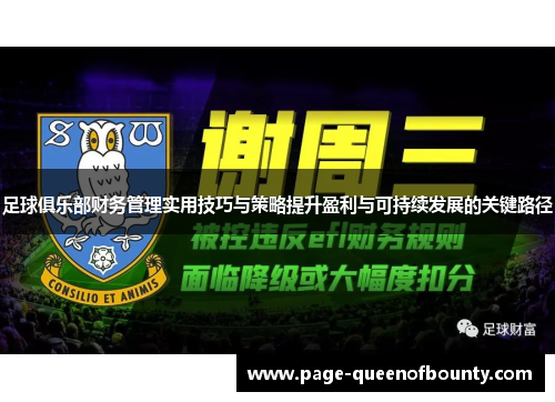 足球俱乐部财务管理实用技巧与策略提升盈利与可持续发展的关键路径