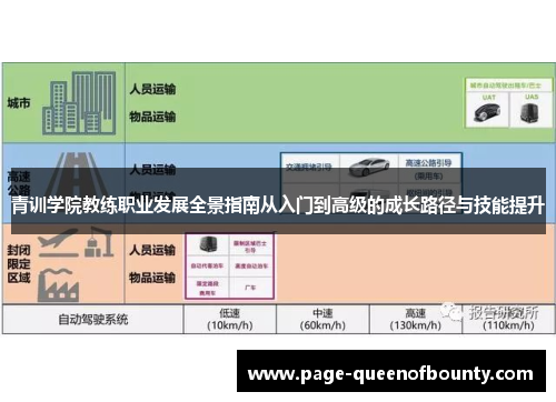 青训学院教练职业发展全景指南从入门到高级的成长路径与技能提升