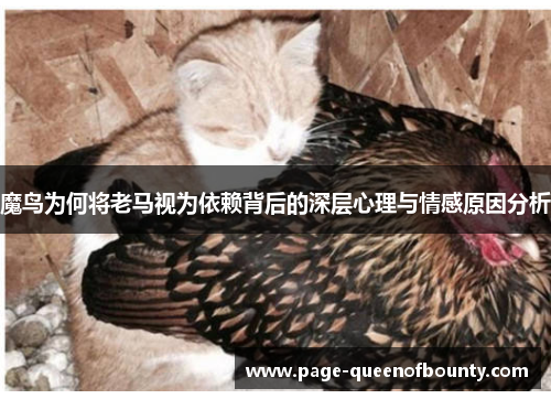 魔鸟为何将老马视为依赖背后的深层心理与情感原因分析